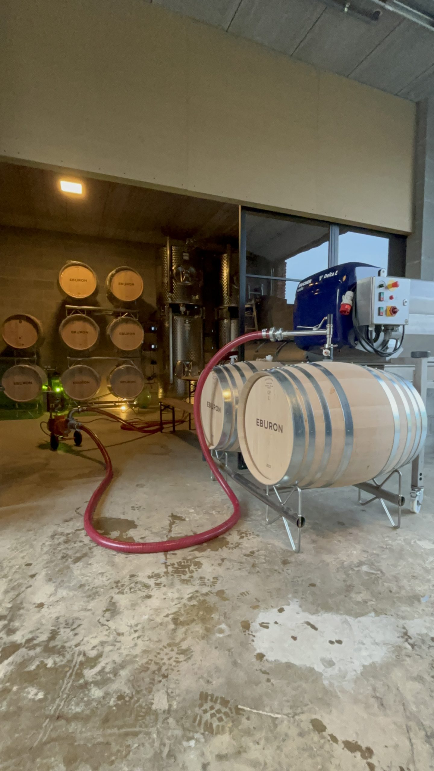 IMG_0028 Winery
